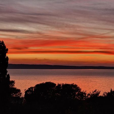 Willa Modern Seaview House Fiore Starigrad Paklenica Zewnętrze zdjęcie