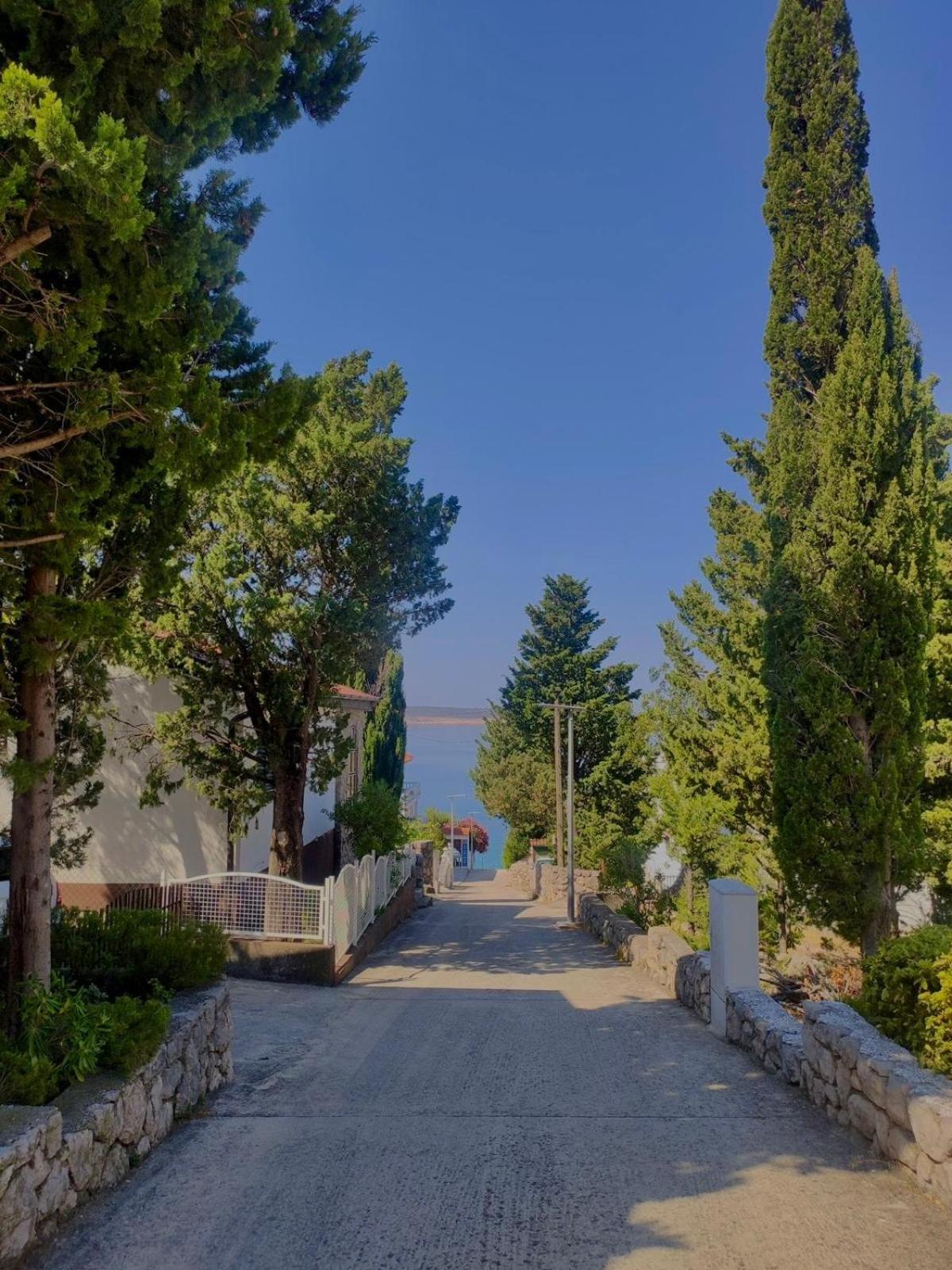 Willa Modern Seaview House Fiore Starigrad Paklenica Zewnętrze zdjęcie